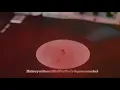 Download Lagu Halsey-without Me (Pro-Tee's Gqom remake)