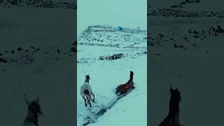 ودعت روحي حينما ودعتهم أنشودة رائعة بدون موسيقى 