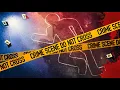 True Crime Time Sonny Kristopher Kim a FURRY killer Cody Metzker-Madsen