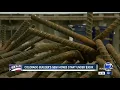 Colorado builder s new homes start under 300K