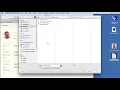 Inserting and Importing in FileMaker