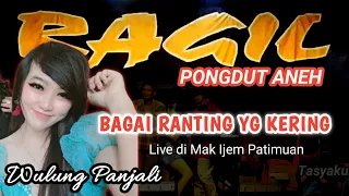Download BAGAI RANTING YANG KERING-RAGIL PONGDUT MP3