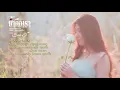ช้ำคือเรา   - ส้มโอ Stage Fighter「 OFFICIAL AUDIO 」2019 Ver.