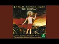 Download Lagu Easter Oratorio, BWV 249: I. Sinfonia