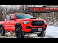 2023 MANUAL Toyota Tacoma TRD PRO Review