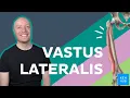 Vastus lateralis muscle Anatomy and function Kenhub