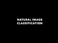 Cifar-10 Image Classification