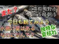 Download Lagu 「豊漁なのに大不満!? 『魚種の偏り』が酷い魚市場」
