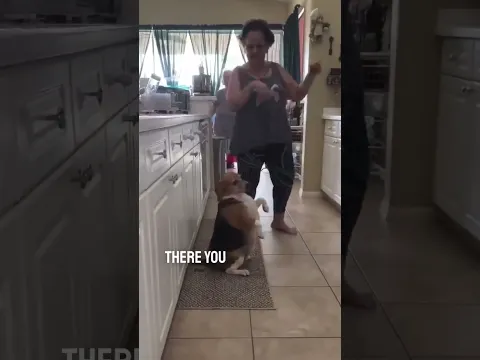 Her dog copied her dance 😂￼