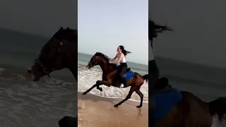 Galloping Horse Riding By A Beautiful Lady On The Beach 