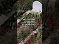 Download Lagu TERNYATA !! Inilah arti bertemu orang yang sudah meninggal di dalam mimpi #shorts #ceramah #islam