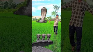 Jay Radhe Jay Krishna Haei Bol Harqhara Shmbhu 