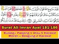 Download Lagu Tadarus Surat Ali Imran Ayat 181-186, Ada Warna Tanda Panjang \u0026 Dengung Agar Lancar Baca al-Quran