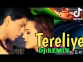 Download Lagu TERBARU 2025 DJ INDIA TERE LIYE
