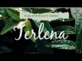 Download Lagu TERLENA | Puisi karya BUYA HAMKA