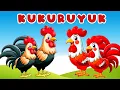 Download Lagu Kuku Kukuruyuk |  Ayam Kukuruyuk | Lagu Anak Anak | Lagu Anak | Lagu Anak Indonesia