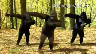 شيله ياسعود العلي مسرعه 