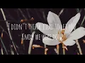 Ex I Never Had -LANY(Stripped)(Lyrics)