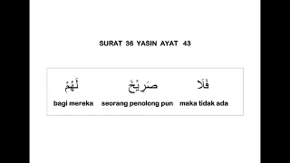 036 surat yasin dan terjemahan per kata