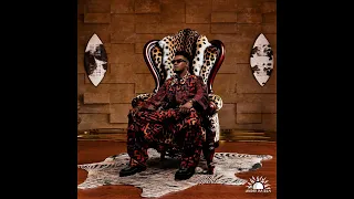 sun el musician x ami faku x tefo foxx imali official audio 