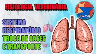Sistema respiratório - Troca de gases e transporte pelo sangue - Fisiologia veterinária - Aula 2