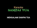 Download Lagu SAMPAI TUA MANSYUR .S (KARAOKE)