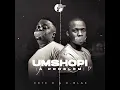 Umshophi (A Problem)