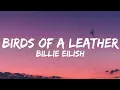 Download Lagu Billie Eilish - Birds Of A Leather (Lyrics Video)