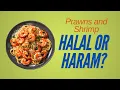 Q A Prawns and Shrimp Halal or Haram Answered by Mufti Abdur Rahman ibn Yusuf