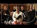 Download Lagu Bach - Cantate Wir danken dir... BWV 29 - Van Veldhoven | Nederlandse Bachvereniging