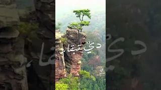 اغنيه اللي يعاكس حبيبتي هلعب بيه الكره اسمع بسرعه 