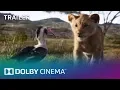 Download Lagu The Lion King - Trailer 2 | Dolby Cinema | Dolby