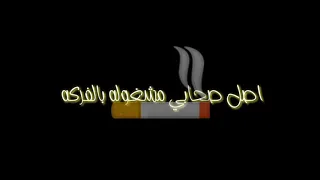 مهرجان كلبي الروت زاملني في عاركه حاله واتس حلقولو 