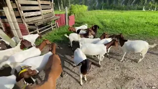 Join My Facebook Group Https Www Facebook Com Share 19tT9WdxVB 