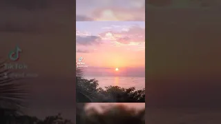 احمد شيبه انا فين 