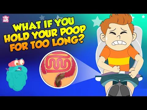 Download MP3 What if You Hold Your Poop For Too Long? | How Digestive System Works? | The Dr Binocs Show For Kids