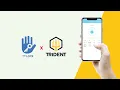 Trident Arthur Pro App Setup Guide