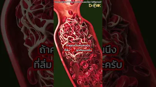 อะไรคือสารในถั่วเน่านัโตะที่ช่วยสลายลิ่มเลือด และทำงานอย่างไร