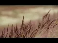 The Fields of Ard Skellig (Extended) - The Witcher 3: The Wild Hunt