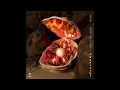 Chris Lake & Aluna - Beggin' (Instrumental)