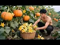Download Lagu Transforming Fresh Pumpkin Blossoms Into A Silky And Refreshing Jelly Using Our Time-Honored Method.