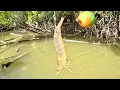 Download Lagu AKHIRNYA NAIK SEMUA IKAN BESAR PENGHUNI POHON BAKAU !!! Mancing kakap putih