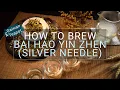 Download Lagu How to brew Bai Hao Yin Zhen | Silver Needle | White Tea