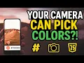 Real-Time HEX Color Picker - JavaScript