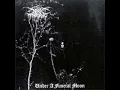 Darkthrone - To Walk the Infernal Fields