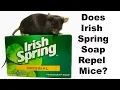 Does Irish Spring Soap Repel Rodents Mouse Mythbusters