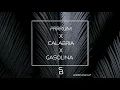 Download Lagu Prrrum x Calabria x Gasolina (Samuele Brignoccolo Tiktok Mashup)
