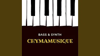 bass u0026 synth