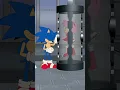 Download Lagu Sonic, We Have Amy Rose At Home