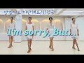 I'm sorry, but... (Okay, I'm sorry) LINEDANCE/Im Young-woong/Easy Intermediate Line Dance/Choreo:...